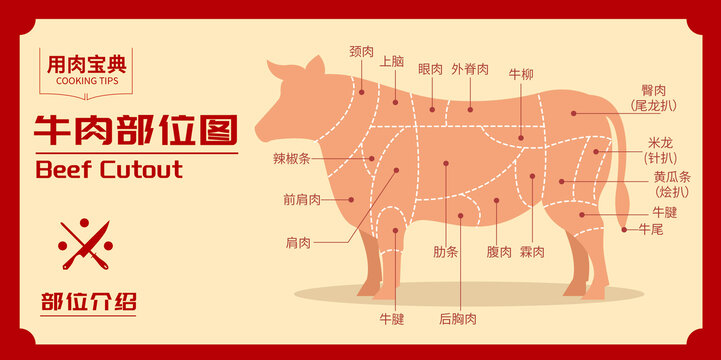 牛肉部位圖