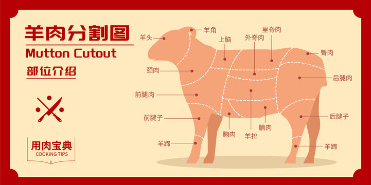 羊肉部位圖