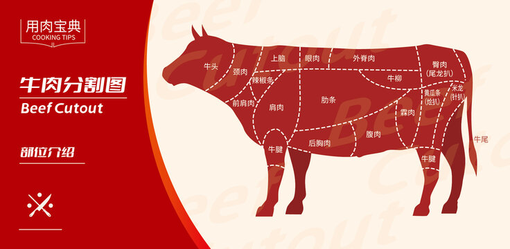 牛肉分割圖
