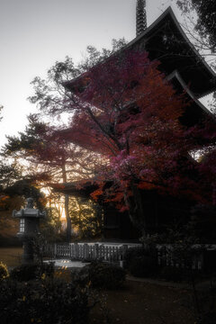 亞洲日本日式建筑庭院寺廟