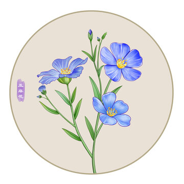 亞麻花