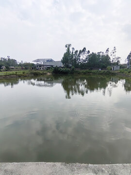 釣魚農家樂