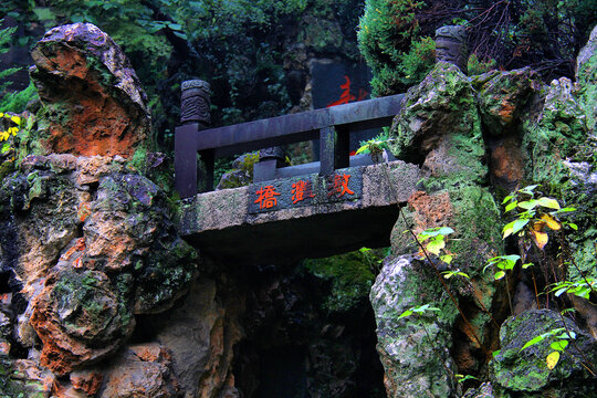 亭林園假山石