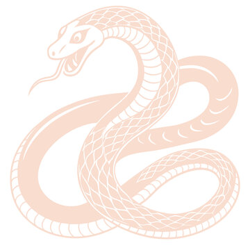 大蛇
