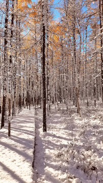 山林秋雪