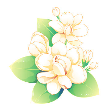 茉莉花國(guó)風(fēng)插畫矢量元素