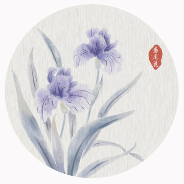 鳶尾花水墨插畫