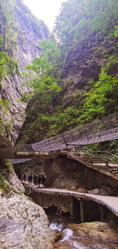 金絲峽