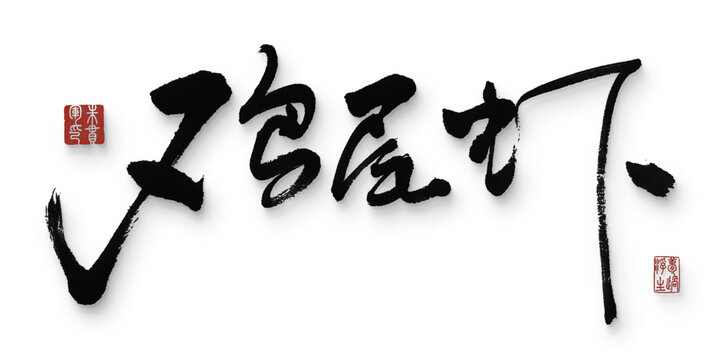 雞尾蝦