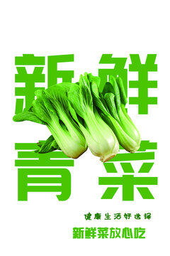 蔬菜海報(bào)