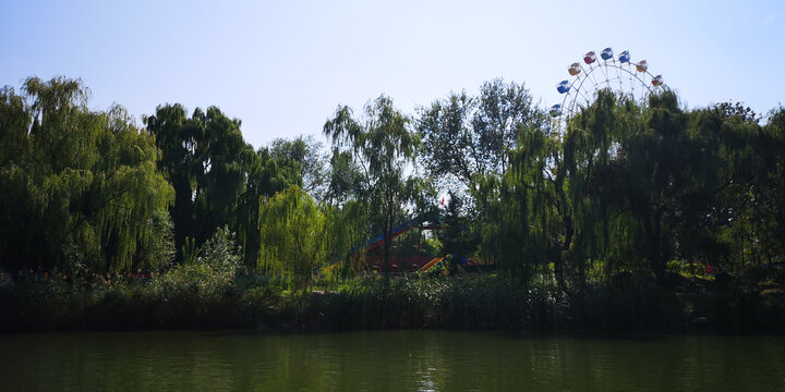 公園湖面