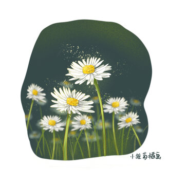 小雛菊插畫(huà)