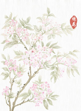 楝花古風(fēng)插畫