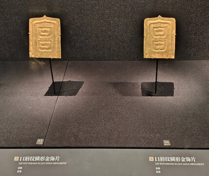 口唇紋鱗形金飾片