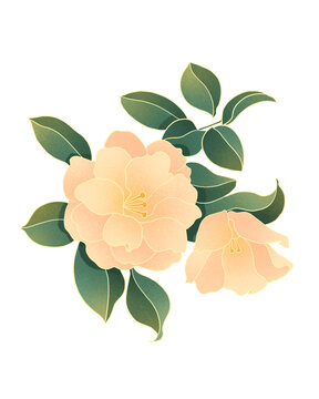 茉莉花朵國(guó)潮插畫