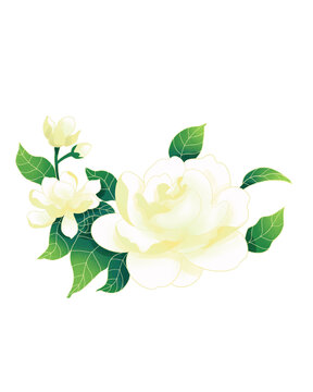 茉莉花朵國(guó)潮插畫