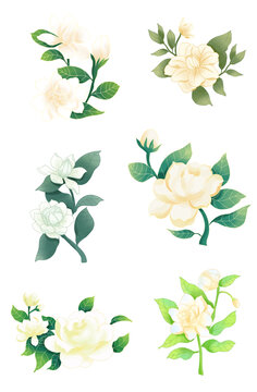 茉莉花朵國潮插畫