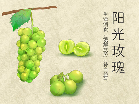 手繪水彩水果陽光玫瑰葡萄插畫