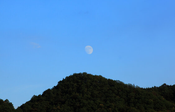 大山月色