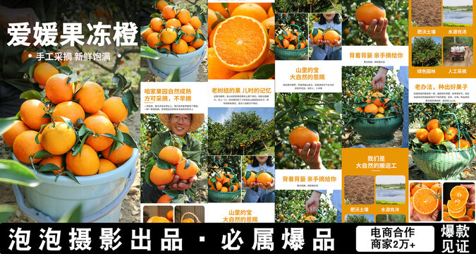 愛媛果凍橙詳情頁