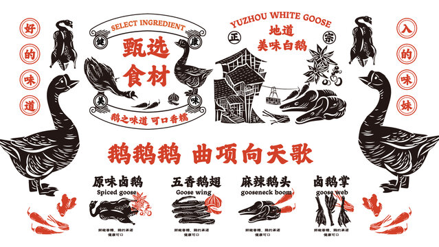 鵝圖片