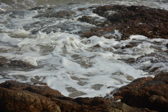 海浪花