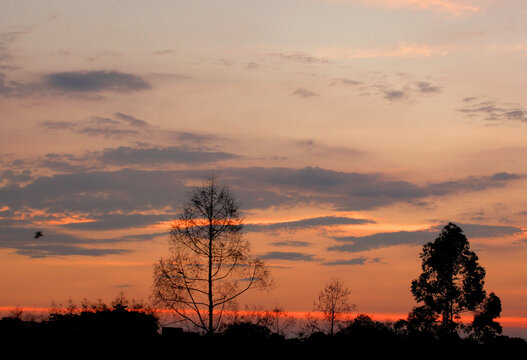 鄉村夕陽