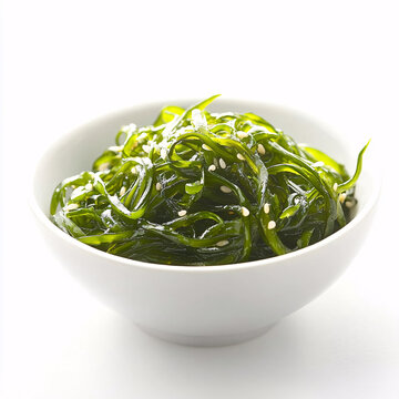 高清海帶絲