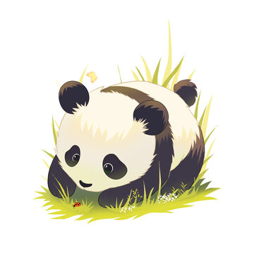 可愛熊貓