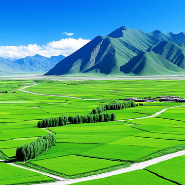 色彩農(nóng)田自然風(fēng)光