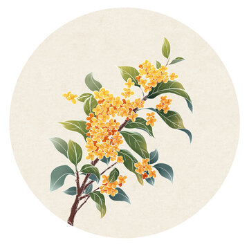 桂花國(guó)風(fēng)插畫(huà)