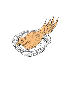 手繪鳥窩