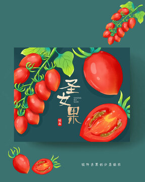 圣女果包裝插畫