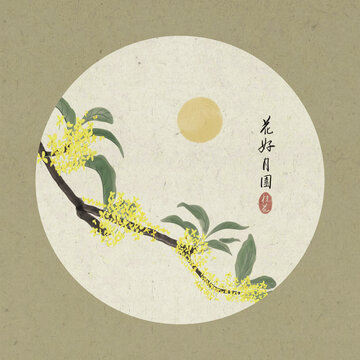 國畫桂花水墨裝飾插畫