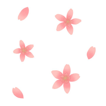 櫻花花瓣素材