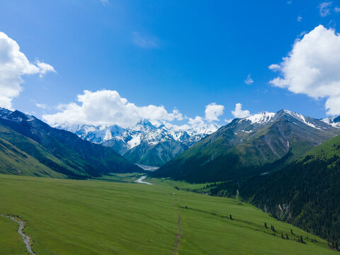 夏塔