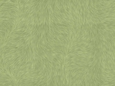 淺綠色毛發(fā)紋理