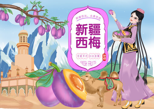 新疆西梅包裝插畫