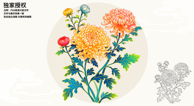 菊花國(guó)風(fēng)插畫