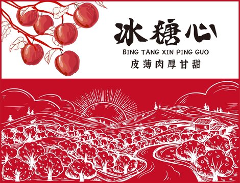 蘋果包裝