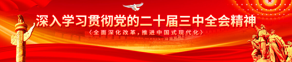 學(xué)習(xí)貫徹黨的二十屆三中全會(huì)精神