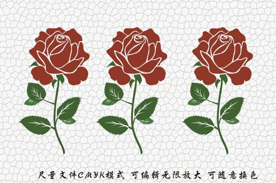 玫瑰花