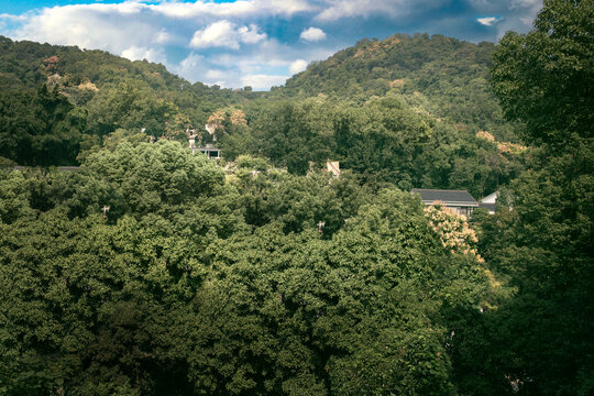 杭州滿覺隴村