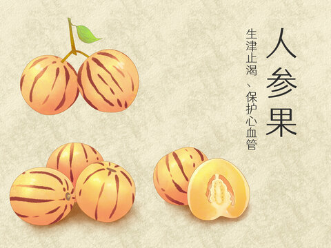 手繪水彩水果人參果插畫