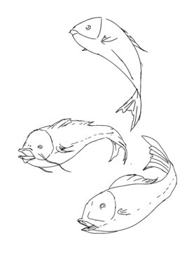 線描魚素材