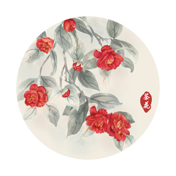 水墨茶花插畫(huà)
