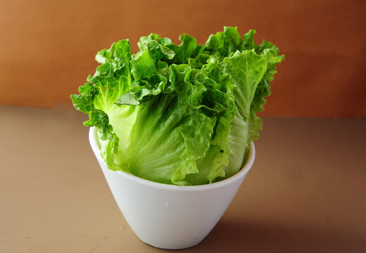 生菜