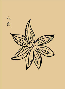 八角
