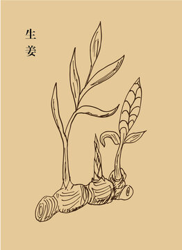 生姜