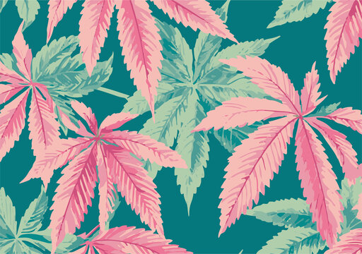 栗子葉子矢量圖